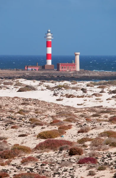 Fuerteventura: dunas de arena y vegetación con el faro de El Toston al fondo — Foto de Stock