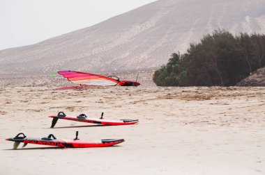 Fuerteventura, Kanarya Adaları, İspanya: sörf tahtaları üzerinde Playa beach de Sotavento de Jandia, Costa Calma (sakin sahil), en ünlü plajlarından güneydoğu kıyısında sörfçü için bir cennet olarak kabul