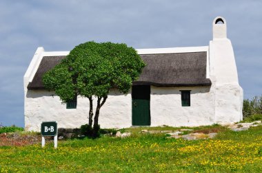 Beyaz bir çiftlik evi, yeşil çim ve sarı çiçek