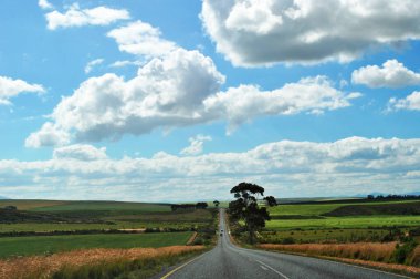 South Africa: the breathtaking african landscape seen from R319, the scenic Regional Route which lead to Cape Agulhas clipart
