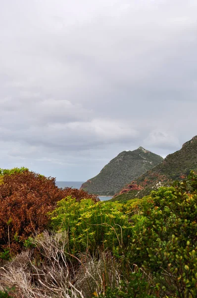 Table Mountain National Park, Jihoafrická republika: mys Cape Point, skalnatém ostrohu na jihovýchodním cípu poloostrova Cape, z M65, panorama trasy v národním parku Stolové hory od Kapského města — Stock fotografie