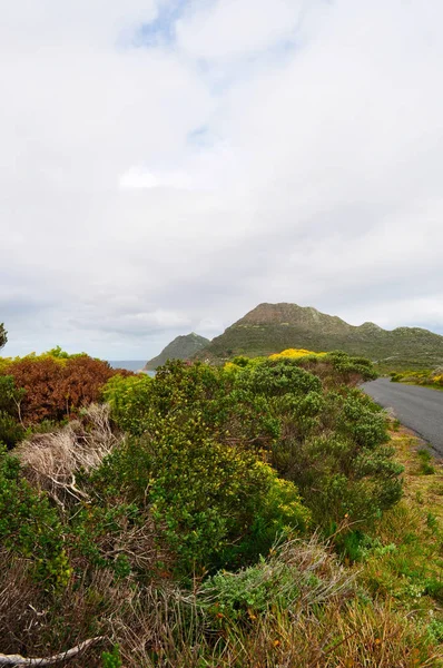 Table Mountain National Park, Sudáfrica: Cape Point, promontorio rocoso en la esquina sureste de la península del Cabo, visto desde la M65, la ruta panorámica en el parque nacional de Table Mountain desde Ciudad del Cabo — Foto de Stock