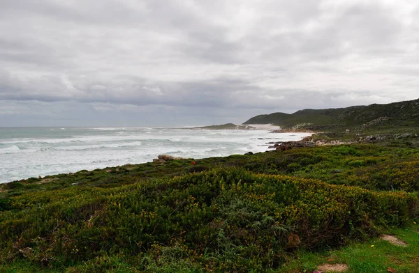 Sudáfrica: vista aérea de la playa y la vegetación en el Cabo de Buena Esperanza, el famoso promontorio rocoso en la costa atlántica de la península del Cabo redondeado en 1488 por el explorador portugués Bartolomeu Dias, símbolo mundial de la superación de las dificultades — Foto de Stock