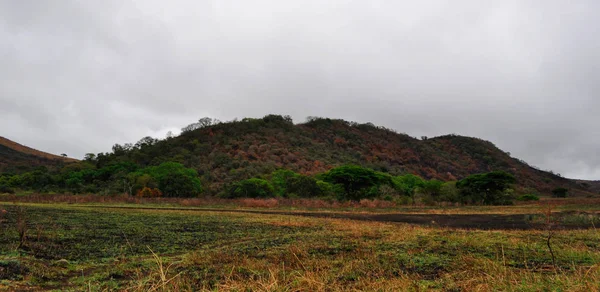 Сафарі в Південній Африці: африканські краєвид в похмурий день в Imfolozi залишає — стокове фото