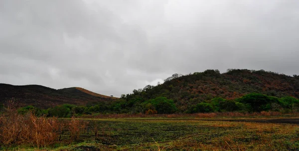 Сафари в Южной Африке: африканский пейзаж в пасмурный день в заповеднике Глуве Имфолози — стоковое фото