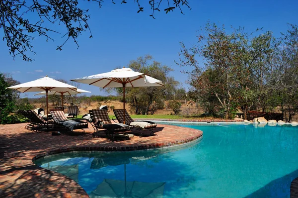 Safari en Sudáfrica: la piscina en la reserva privada de caza de Ngala en el Parque Nacional Kruger —  Fotos de Stock