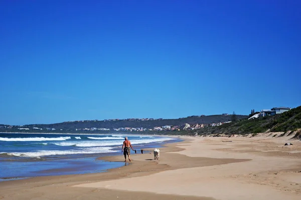 South Africa breaking waves and a man with his dog walking on the beach of Plettenberg Bay, called Plet or Plett, originally named Bahia Formosa (Beautiful Bay), a town along the famous Garden Route