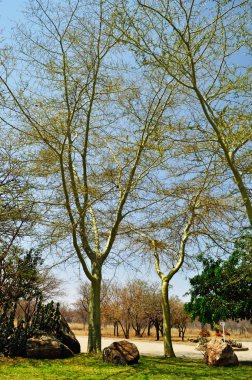 Güney Afrika: Afrika Güney Afrika'nın ilk Milli Parkı 1926 yılında beri 1898, rotadan Kruger Milli Parkı için en büyük oyun görülen nefes kesici manzara havadan görünümü hakkını saklı tutar