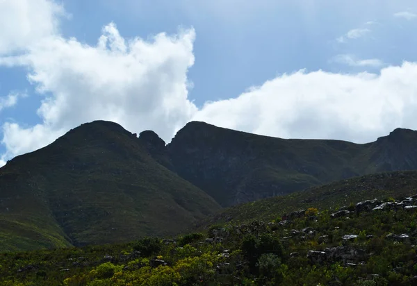 Jižní Afrika: úchvatná krajina na N2, 300 kilometrů dlouhé Garden Route, úsek zelenající vegetace jihovýchodní pobřeží od Západní Kapsko do Eastern Cape — Stock fotografie