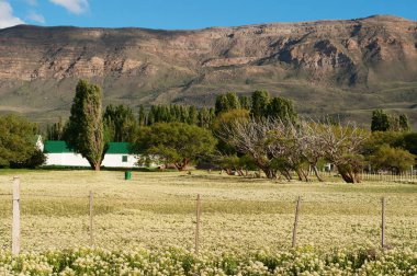 Arjantin: El Calafate yakınındaki Patagonya peyzaj sarı çiçek alan bir evde