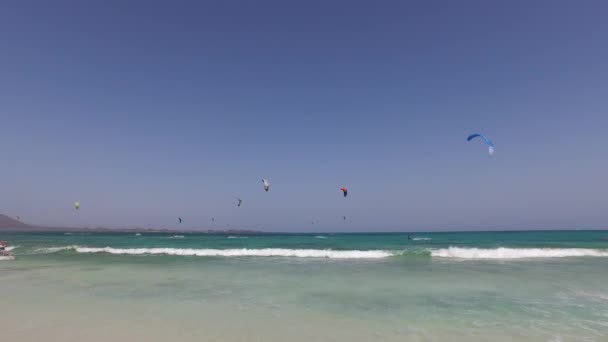 Fuerteventura: kitesurfing on Playas Grande beach, one of the most famous beaches for surfing and kite surfing, with view on the islet of Lobos September 7, 2016 — Stock Video