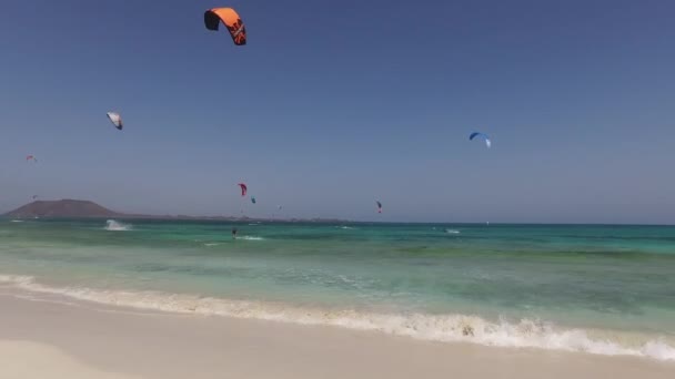 Fuerteventura: kitesurfing på Playas Grande beach, en av de mest berömda stränderna för surfing och kite surfing, med utsikt över lilla ön Lobos 7 September 2016 — Stockvideo