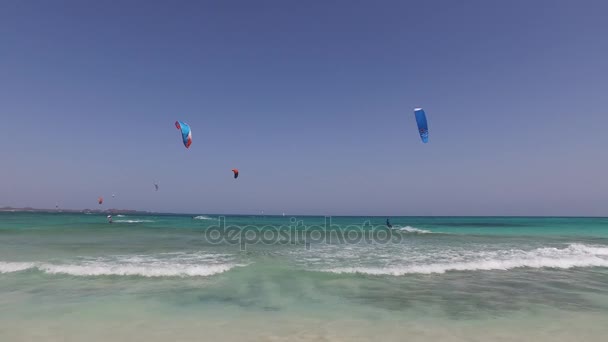 Fuerteventura : kitesurf sur la plage de Playas Grande, l'une des plages les plus célèbres pour le surf et le kite surf, avec vue sur l'îlot de Lobos 7 septembre 2016 — Video