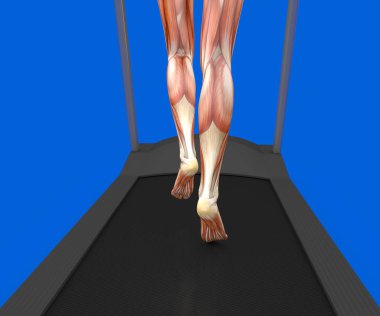 Human body, woman running, muscular system, treadmill, gym, gymnastics clipart