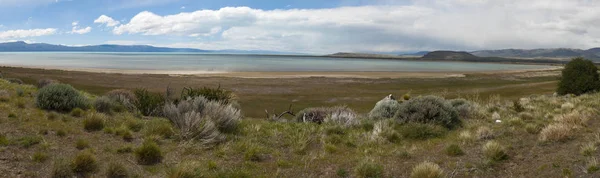Argentina: typická vegetace Patagonie s výhledem na jezero Argentino, — Stock fotografie