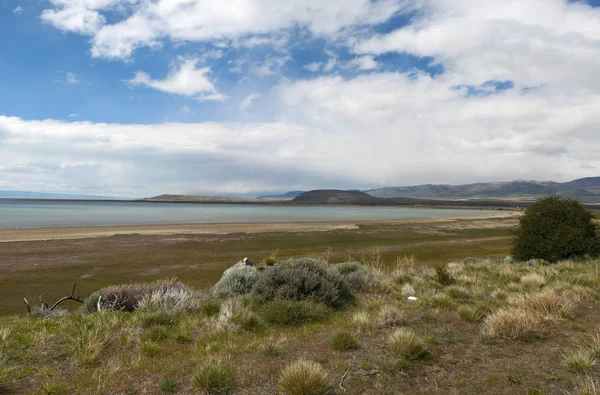 Argentina: la típica vegetación patagónica con vista al Lago Argentino , —  Fotos de Stock