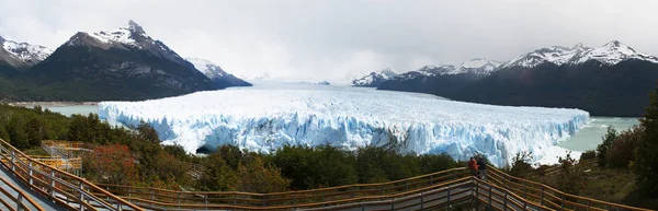 Argentína: piros virágok és Perito Moreno gleccser a Los Glaciares Nemzeti Park — Stock Fotó
