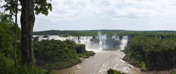 Argentine : la forêt tropicale avec vue sur les chutes d'Iguazu, l'une des attractions touristiques les plus importantes d'Amérique latine — Photo