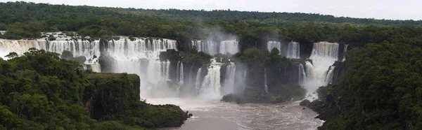 Argentina: regnskog med utsikt över Iguazufallen, en av de viktigaste turistattraktionerna i Latinamerika — Stockfoto