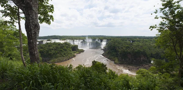 Argentine : la forêt tropicale avec vue sur les chutes d'Iguazu, l'une des attractions touristiques les plus importantes d'Amérique latine — Photo