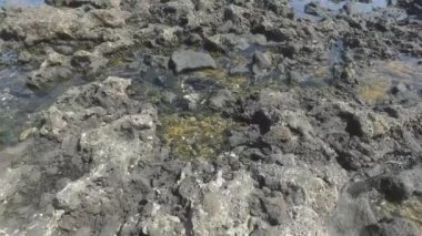 Fuerteventura, Kanarya Adaları: Görünüm Toston deniz deniz feneri yakınlarında balıkçı köyü El Cotillo, 3 Eylül 2016