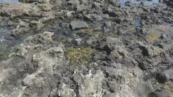 Fuerteventura, Kanárské ostrovy: pohled k moři Toston majáku, poblíž rybářské vesnice El Cotillo, 3. září 2016 — Stock video