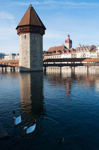 Luzern: labutě, panoráma a pohled na slavné vodárenské věži ve středověkém městě — Stock fotografie