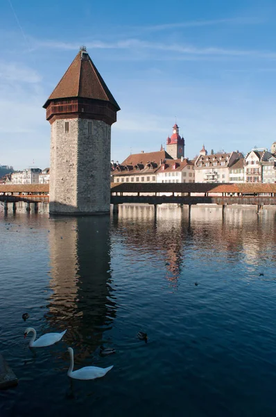 Lucerna: cigni, skyline e vista sulla famosa Torre dell'Acqua nella città medievale — Foto Stock