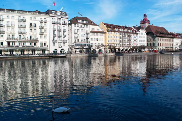 Suiza: un cisne en las aguas cristalinas del río Reuss y el horizonte de Lucerna — Foto de Stock
