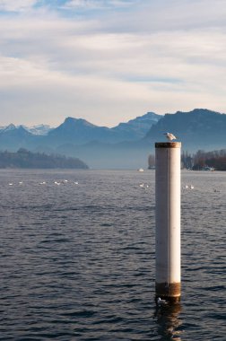 İsviçre: Dört kanton Gölü manzaralı Lucerne ortaçağ şehir İsviçre Alpleri'nde demirleme kutbunda bir kuş