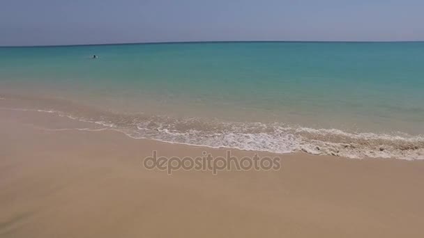 Fuerteventura: windsurfs na lagoa da praia de Jandia em 4 de setembro de 2016 — Vídeo de Stock