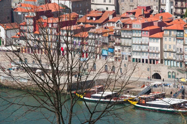 Portugal: uma árvore com galhos mortos, barcos e o horizonte do Porto com vista para os palácios e as margens do rio Douro — Fotografia de Stock