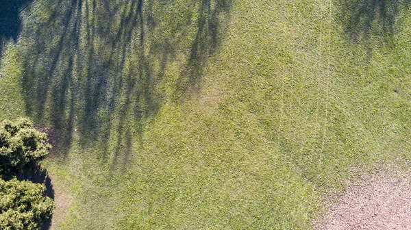Вид с воздуха на парк с деревьями и травой, листья, зеленая зона, экология — стоковое фото