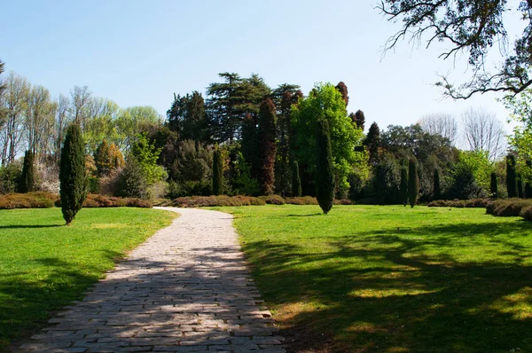 Porto: the gardens of Serralves Foundation, one of the most important cultural institution of Portugal with its park,  example of contemporary architecture, Modernism and Art Deco — Stock Photo, Image