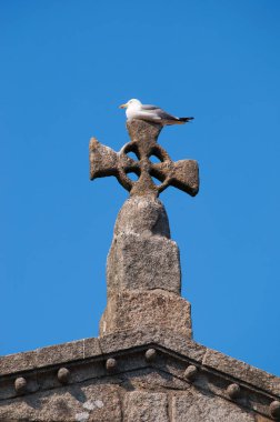 Porto: Old City, şehrin en eski eserlerinden biri ve en önemli Romanesk anıtlar Portekiz'de bir katedral üstündeki çapraz martı tünemiş