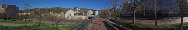 Panoramic view of the Guggenheim Museum Bilbao, Basque Country, Spain, 25 / 01 / 2017, the museum of modern and contemporary art , — стоковое фото