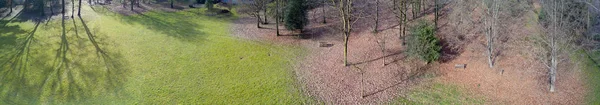 Vue aérienne d'un parc, d'herbe, de feuilles et d'arbres en hiver — Photo