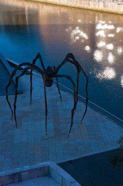 Bilbao: İyiyim anne, Louise Bourgeois sanatçı tarafından yapılan ve Guggenheim Müzesi Bilbao, dış yansımaları Oda Nervion Nehri üzerinde yer alan dev örümcek heykel