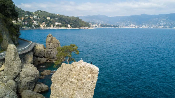 A Rocha de Cadrega, pinheiro marítimo, vista aérea, beira-mar entre Santa Margherita Ligure e Portofino, Paraggi, Ligúria, Itália — Fotografia de Stock