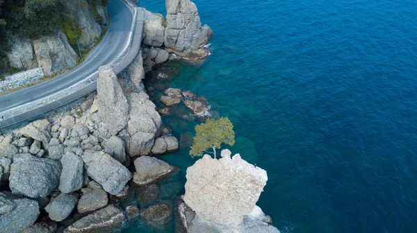 La Roca de Cadrega, pino marítimo, vista aérea, paseo marítimo entre Santa Margherita Ligure y Portofino, Paraggi, Liguria, Italia —  Fotos de Stock