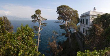Punta Faro, Cape deniz feneri, Portofino, İtalya, Avrupa: deniz çam ve tarihi Portofino deniz feneri, nefes kesici ve hava görünümünü 1870 yılında inşa edilmiş ve 40 metre deniz seviyesinden
