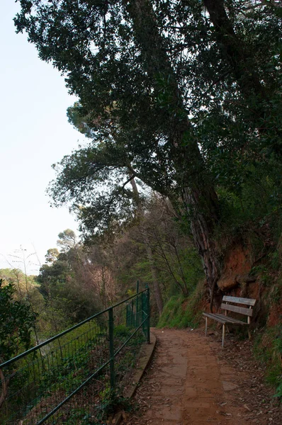 Italy: a bench and the landscape on the walking trail on the cliff that joins Paraggi to Portofino, Italian fishing villages famous for the picturesque harbour and the colorful houses — Stock Photo, Image