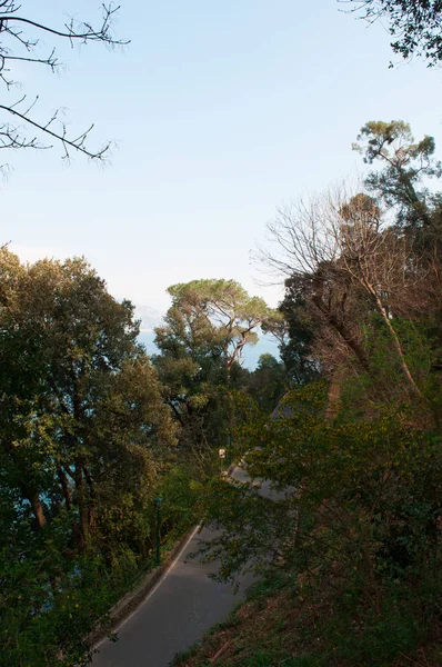Italy: the landscape from the walking trail on the cliff that joins Paraggi to Portofino, Italian fishing villages famous for the picturesque harbour and the colorful houses — Stock Photo, Image