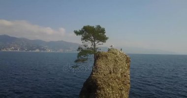 Cadrega'nın rock, deniz çam ağacı, havadan görünümü, waterfront arasında Santa Margherita Ligure ve Portofino, Paraggi, Liguria, İtalya
