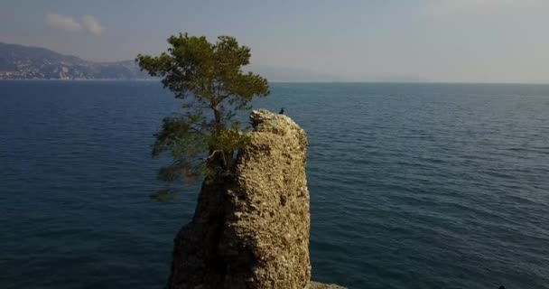Roca de Cadrega, pino marítimo, vista aérea, paseo marítimo entre Santa Margherita Ligure y Portofino, Paraggi, Liguria, Italia — Vídeos de Stock