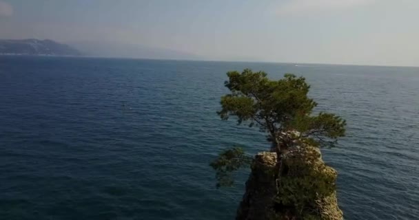 Roca de Cadrega, pino marítimo, vista aérea, paseo marítimo entre Santa Margherita Ligure y Portofino, Paraggi, Liguria, Italia — Vídeo de stock