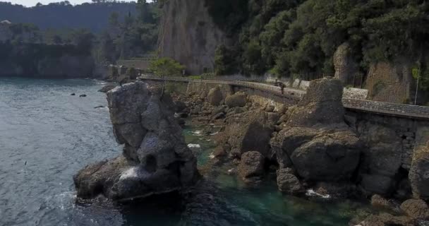 Roca de Cadrega, pino marítimo, vista aérea, paseo marítimo entre Santa Margherita Ligure y Portofino, Paraggi, Liguria, Italia — Vídeo de stock