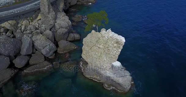 Roca de Cadrega, pino marítimo, vista aérea, paseo marítimo entre Santa Margherita Ligure y Portofino, Paraggi, Liguria, Italia — Vídeos de Stock