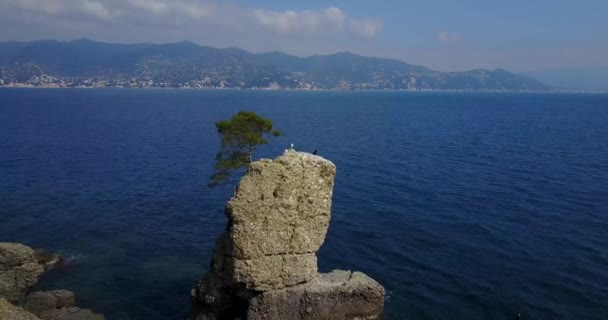 Cadrega のロック、海洋松の木、空撮、サンタ ・ マルゲリータ ・ リグレとポルトフィーノ、イタリア、リグーリア州、パラッジのウォーター フロント — ストック動画