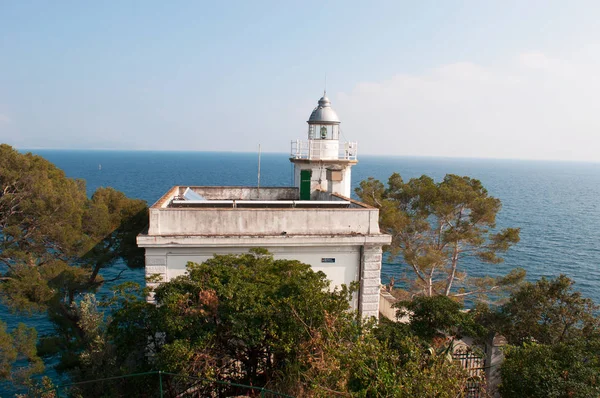 Punta Faro, Cape deniz feneri, Portofino, İtalya, Avrupa: deniz çam ve tarihi Portofino deniz feneri, nefes kesici ve hava görünümünü 1870 yılında inşa edilmiş ve 40 metre deniz seviyesinden — Stok fotoğraf
